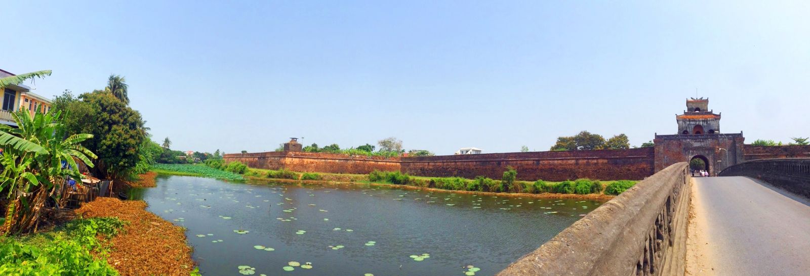 After nearly a month, at present, the lotus on Ngu Ha section on the two sides of An Hoa gate has grown up quite quickly, contributing to creating a green and airy landscape for this river.