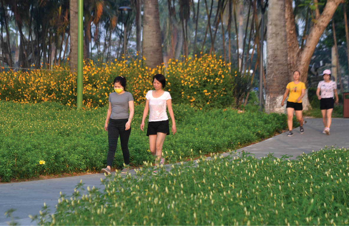 Wandering on the flowery roads 