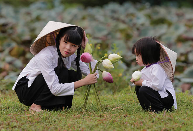 The season of scenting lotus flowers