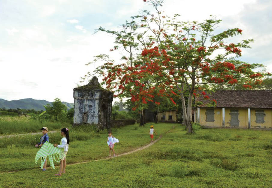 A corner overwhelmed by red-flamboyant flowers