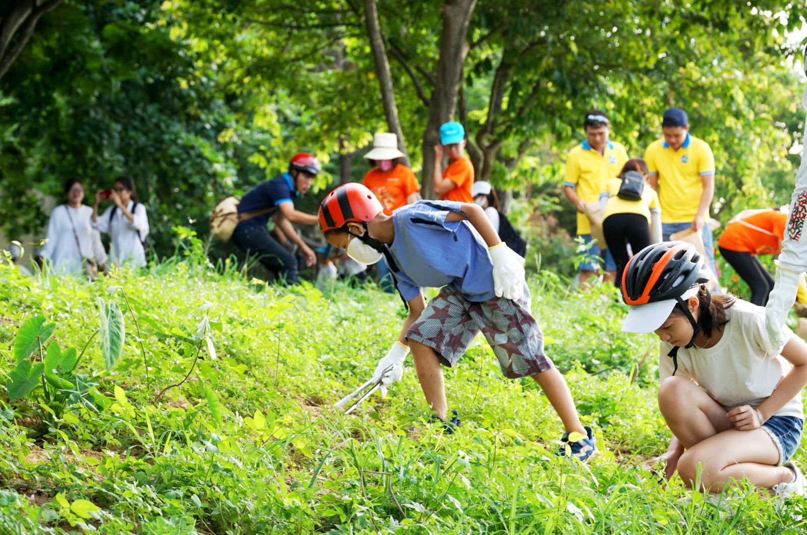 In this activity, it is not rare to see children contribute to protecting the environment