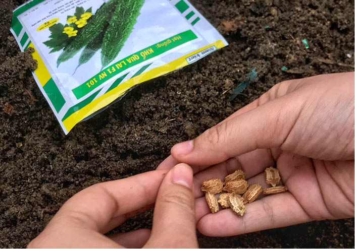 Seeding