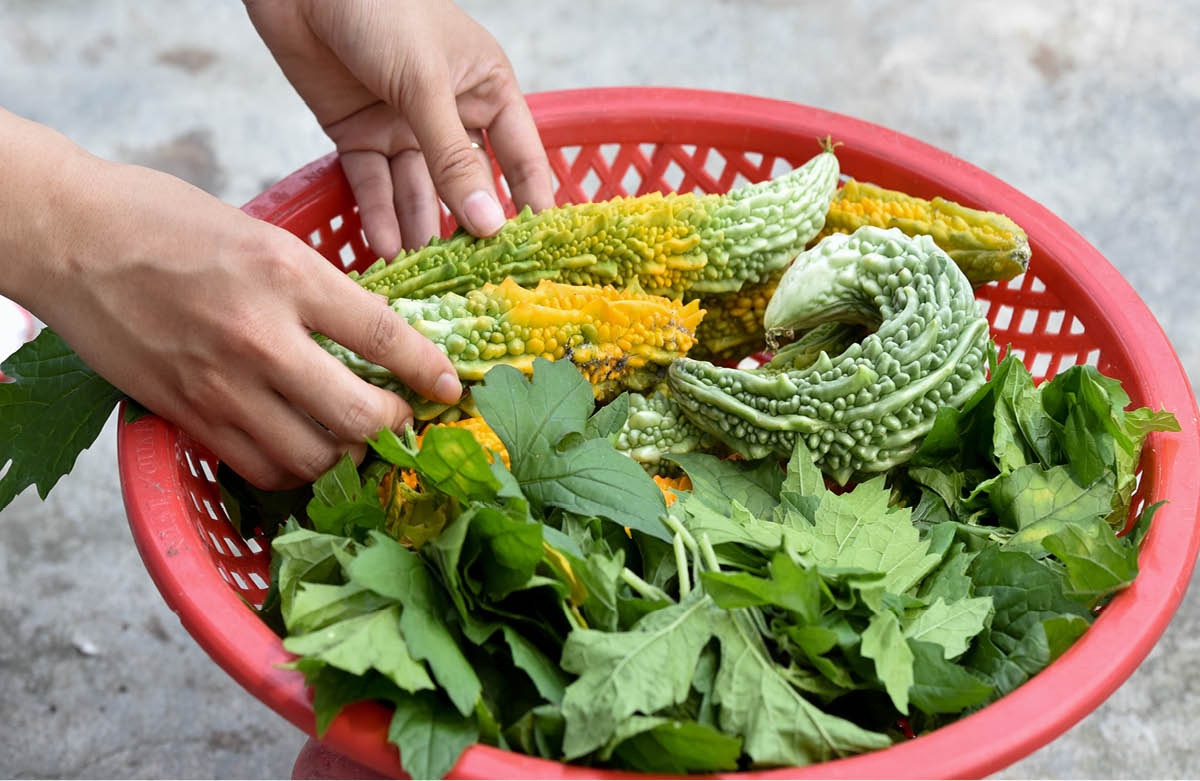 Ripe fruits are used to cook bath water for children