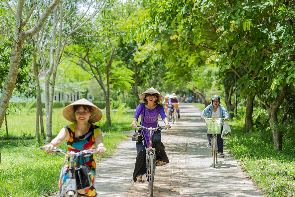 Leisurely cycling under the shady tree canopies