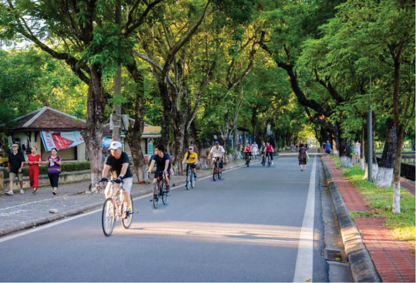 Green trees along Doan Thi Diem street
