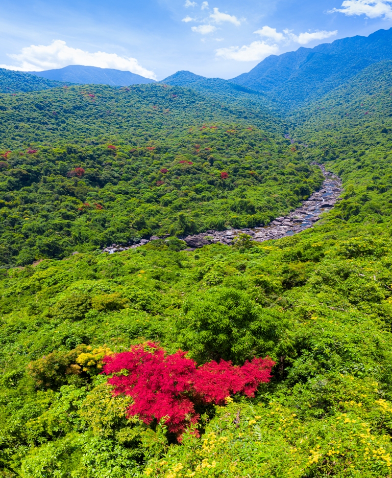 From above, the Fairy stream is like a poetic silk band surrounded by mountain and forest which looks like a gentle mother hugging her child to her heart