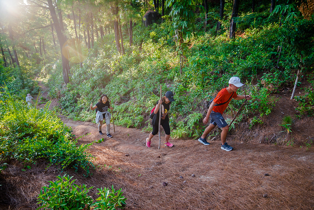 Sticks – an indispensable tool if you decide to go climbing