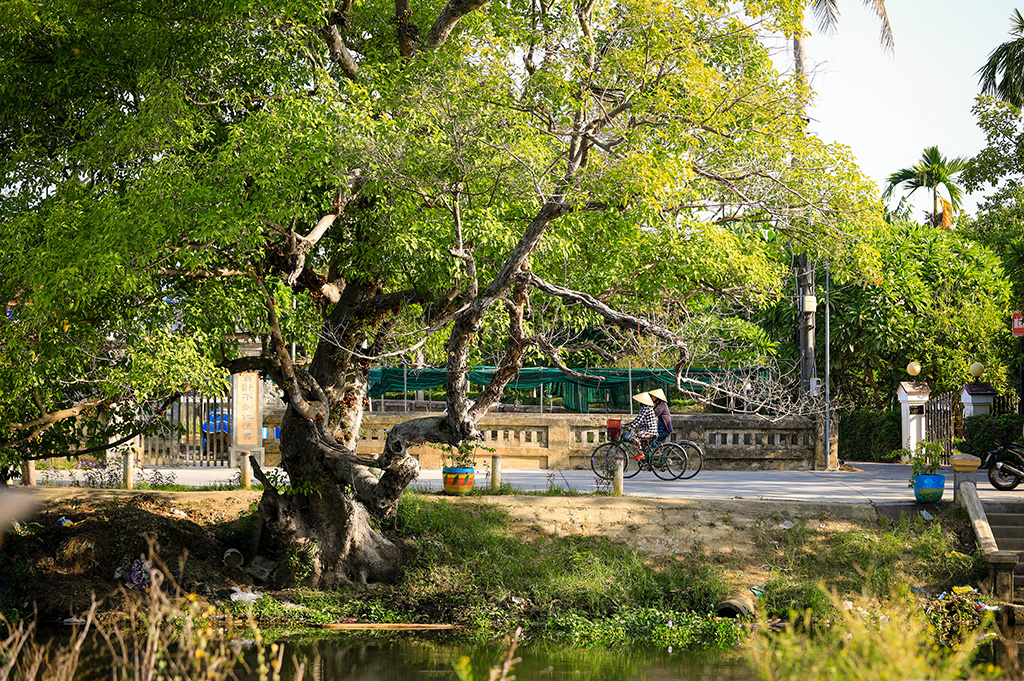 The landslide on riverbanks 