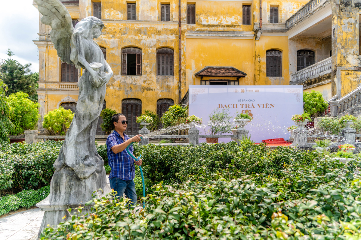 The garden is cared for and watered regularly 
