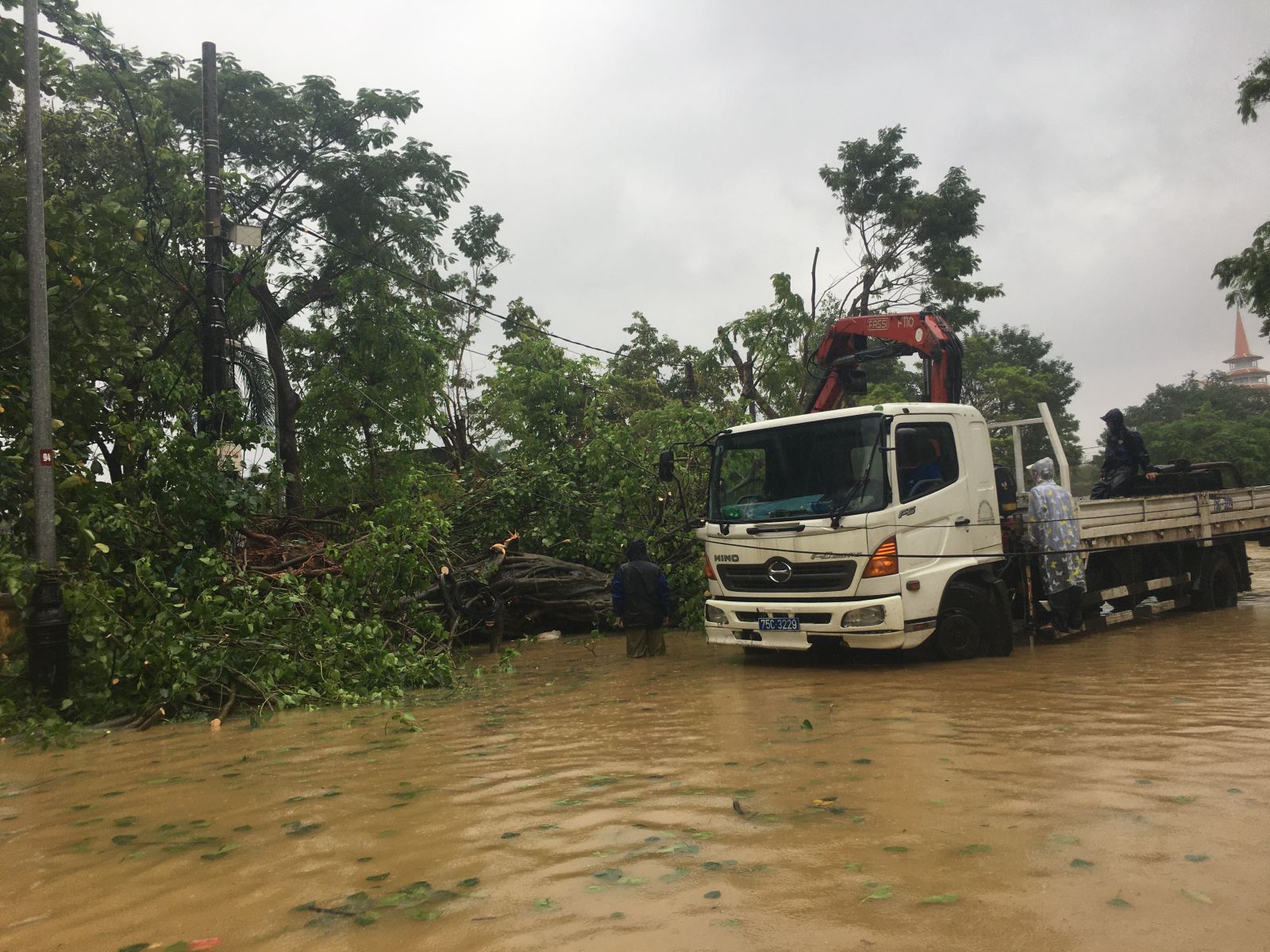 Một cây cổ thụ bị mưa lũ làm ngã đổ, công nhân Trung tâm Công viên cây xanh phải dầm mình trong lũ để cưa cắt, giải phóng.