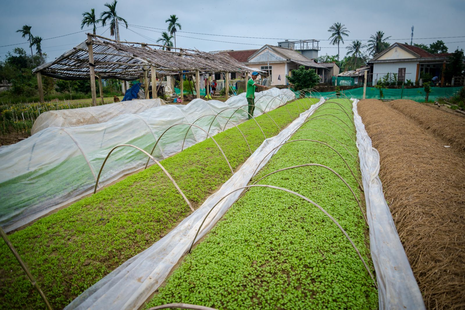 Making effort to restore production before the harshness of nature