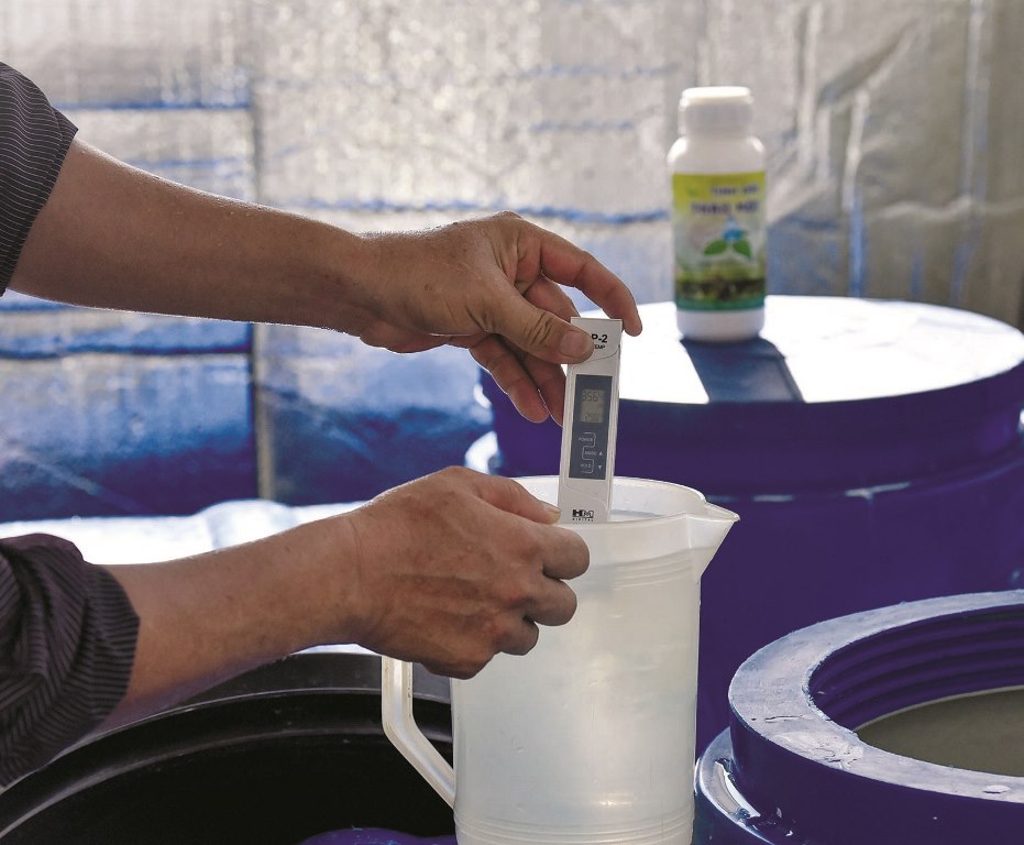 Regularly checking the irrigation water and diluting organic bio-fertilizers for the plants