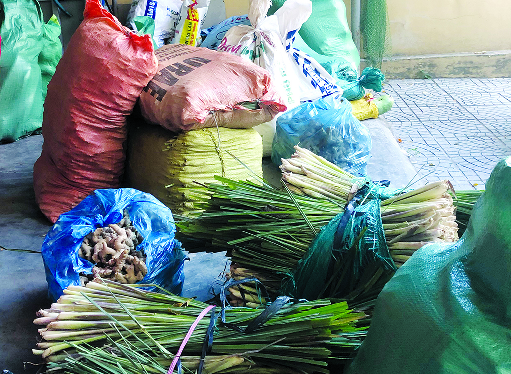 Agricultural products of the people in the districts, towns and Hue city 