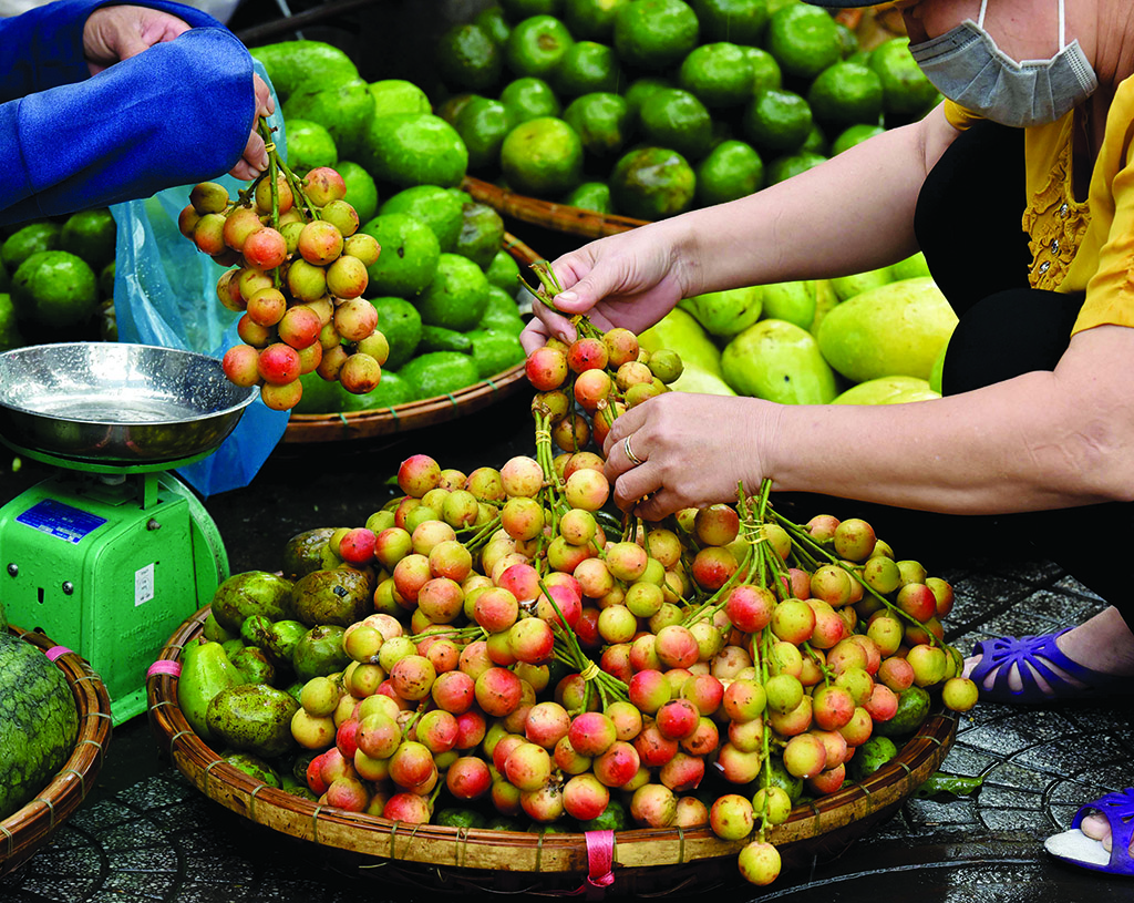 In the season of mulberry, the attractive bunches of mulberries are always set out on loads of street fruit vendors