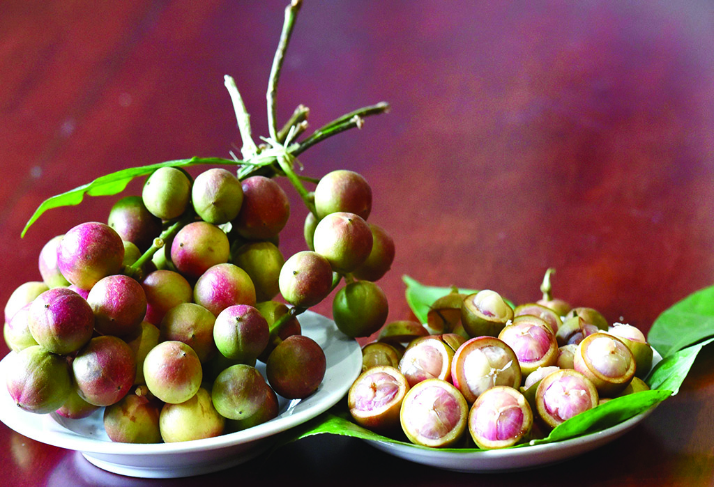 Red, bright yellow shell, succulent pulp, and typical sweet and sour taste