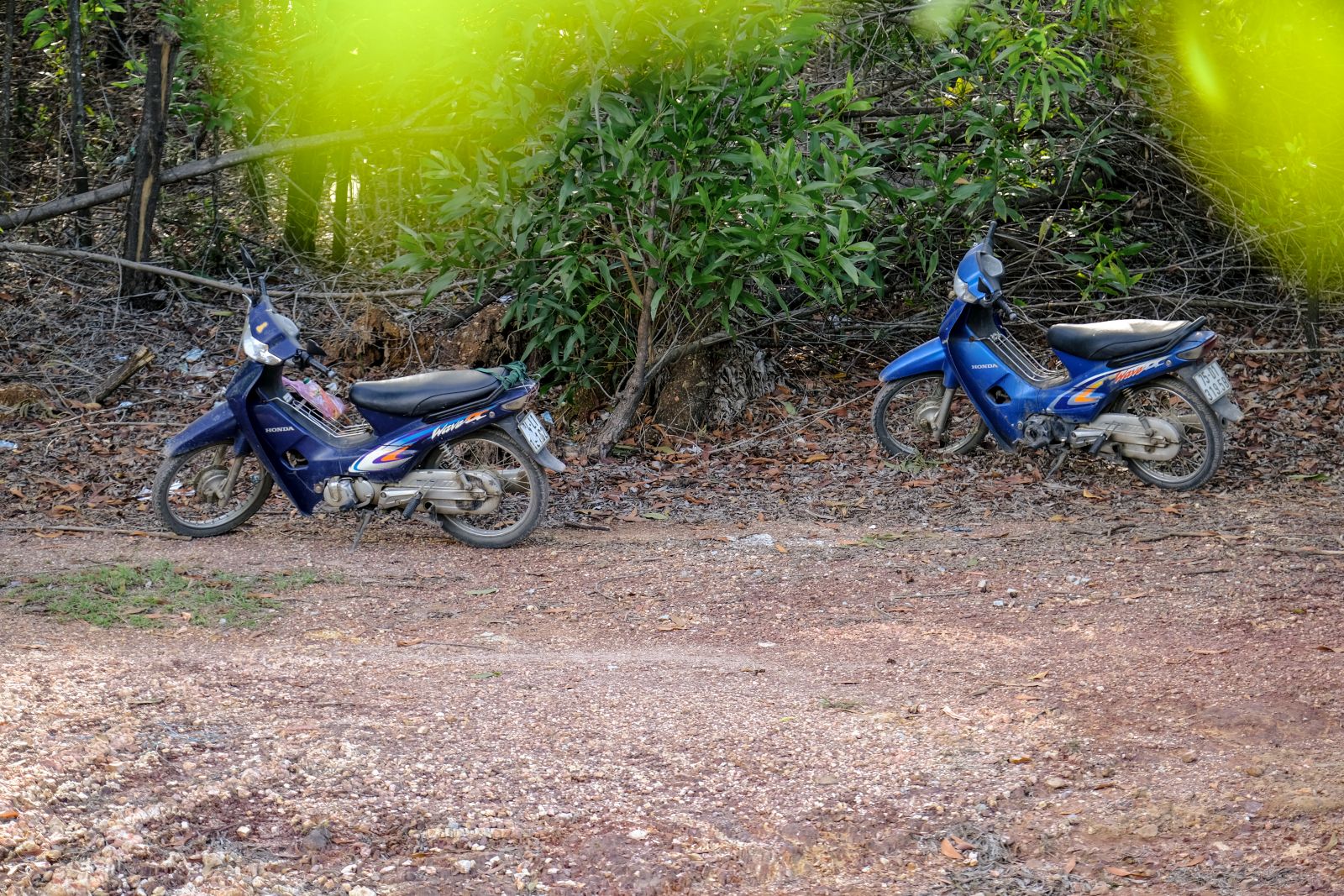 Local people’s vehicles parked along the road as they went on to pick mushrooms