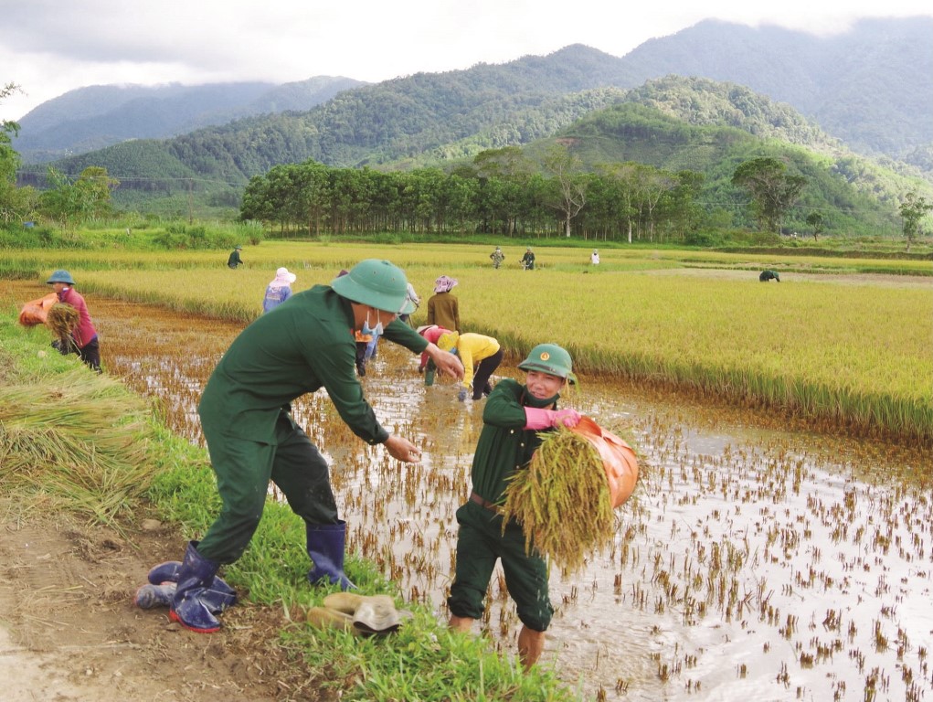 Bringing rice ashore