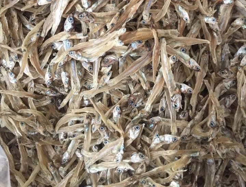 Dried anchovy