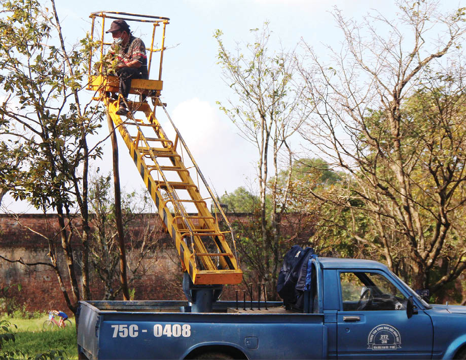 With tall trees, a specialized vehicle is required