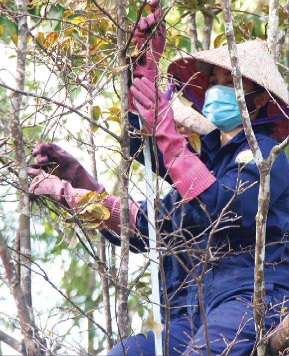 Being gentle and careful