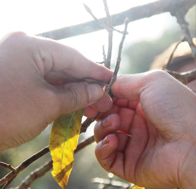 Being gentle and careful