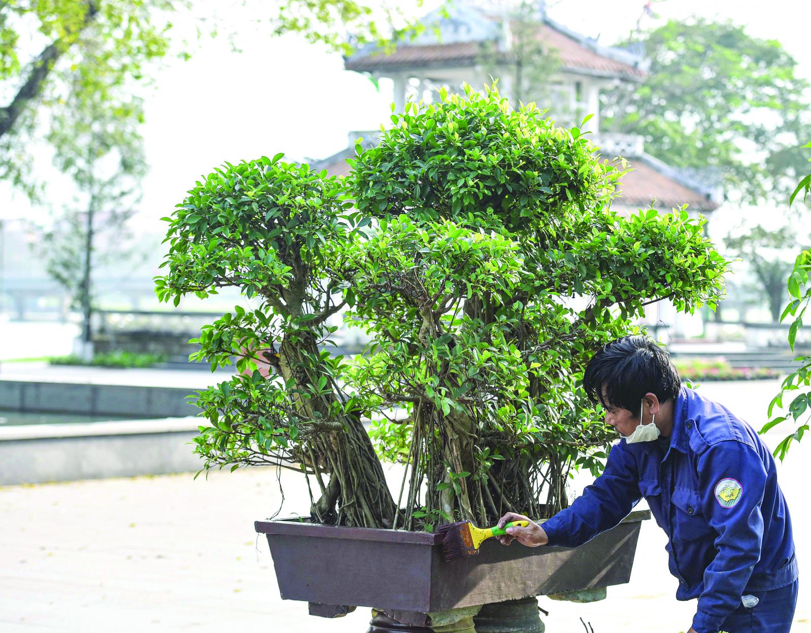 So that the streets always have fresh flowers on Tet holidays