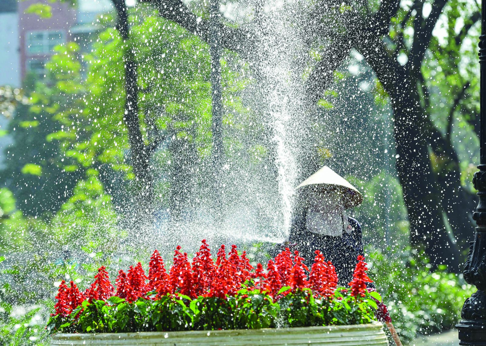 So that the streets always have fresh flowers on Tet holidays