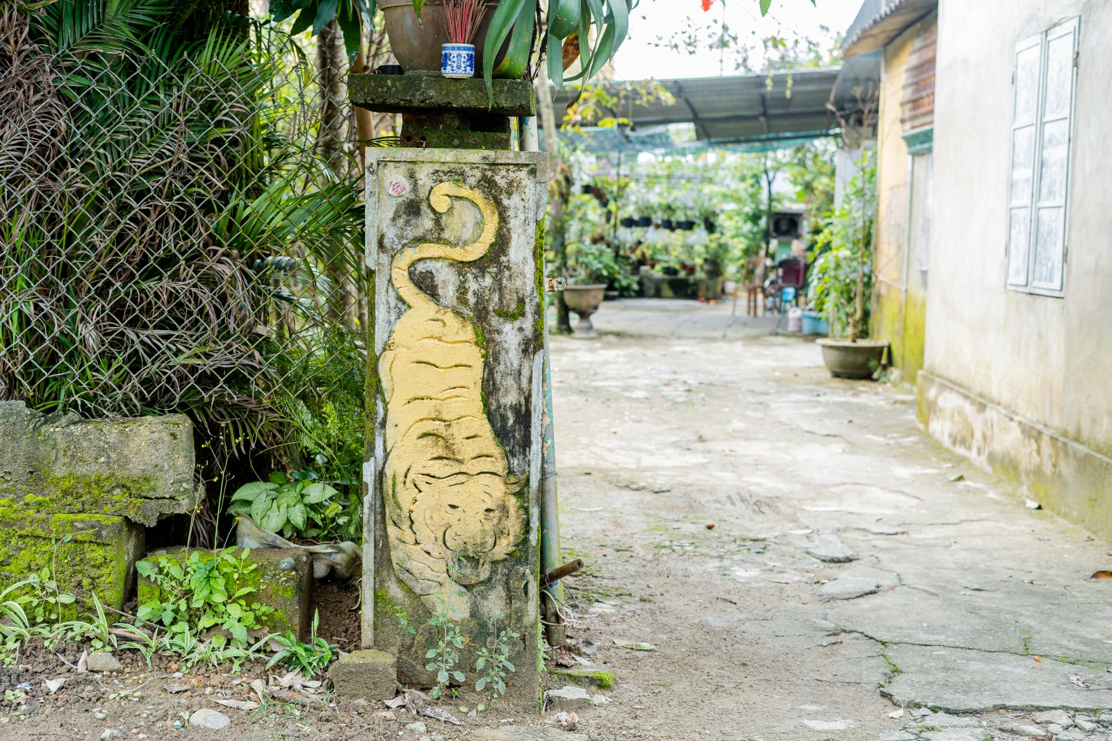 Tiger at the gate of the painter Do Van Lan's house