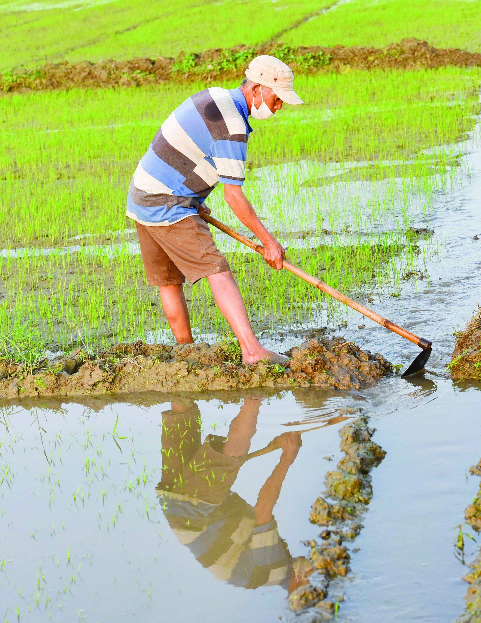 Pumping the irrigation system