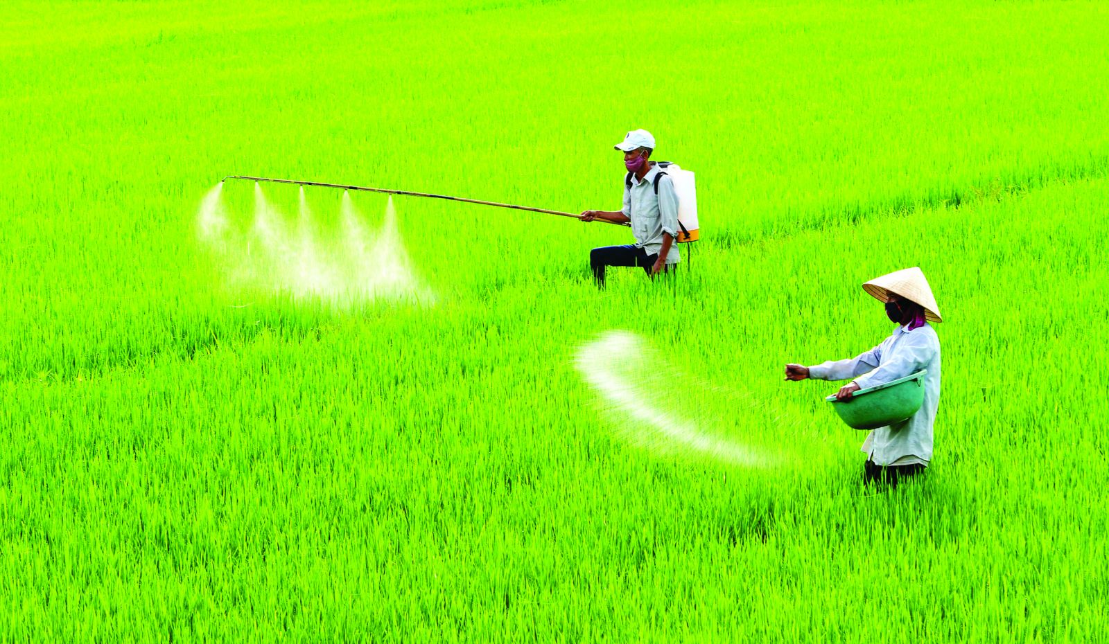 Farmers work hard after Tet