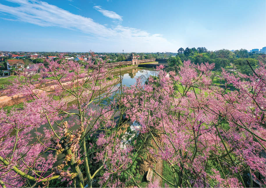 and in the Imperial City