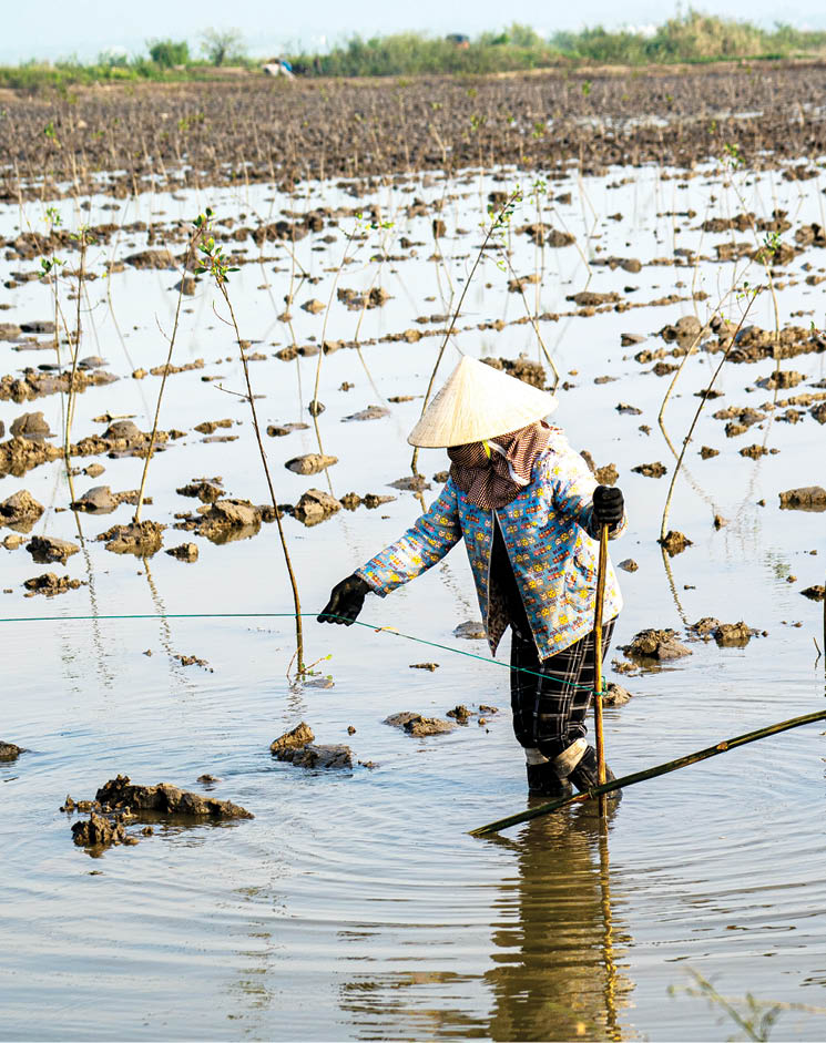 Roping in to mark the forest range