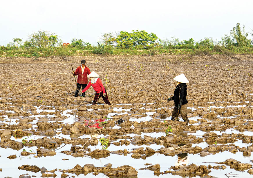 Roping in to mark the forest range