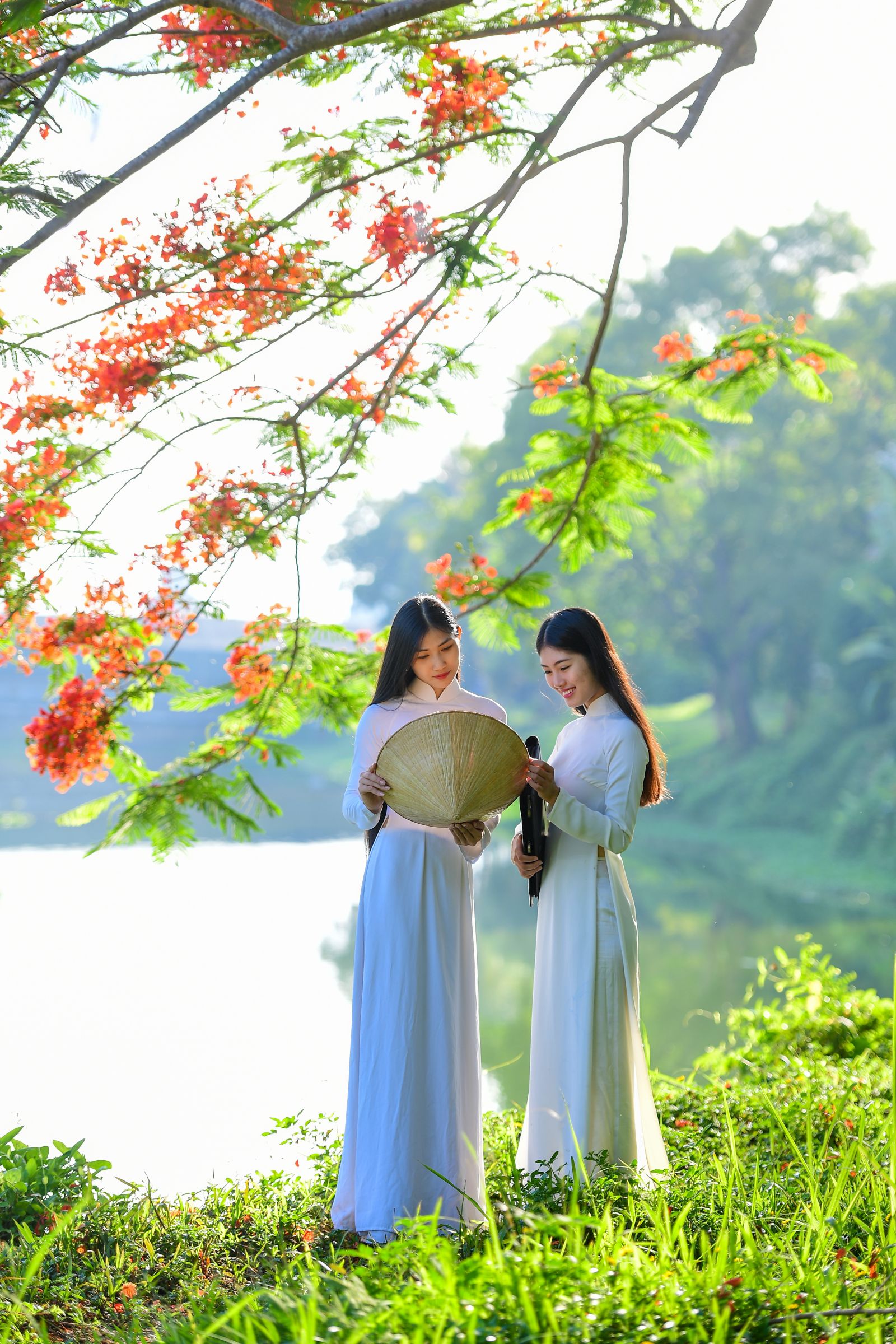 The flamboyant season is associated with the dreamy school age