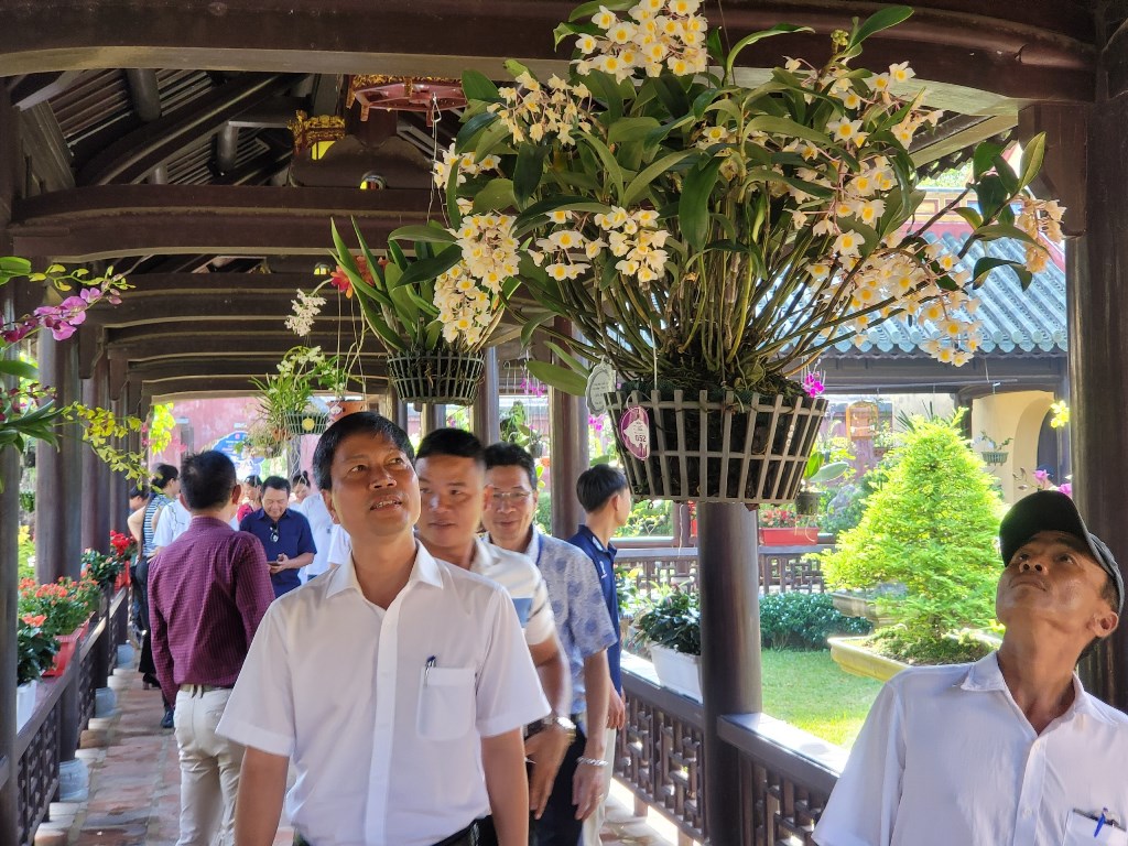 Admiring the blooming orchids