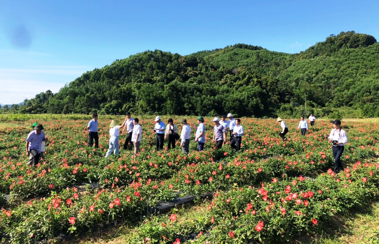 This model attracts various individuals and groups to learn about the farming method