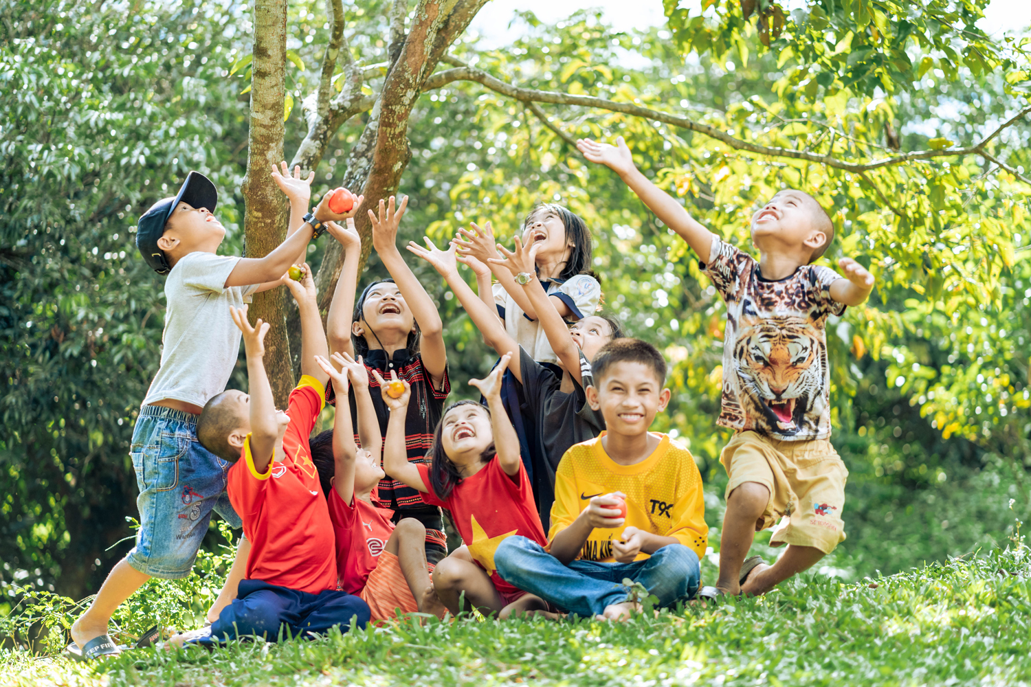 Children enjoying picking persimmons in the garden