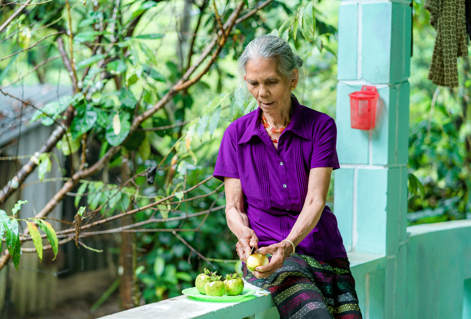 In this season, persimmons are usually “present” in the meals of A Luoi people