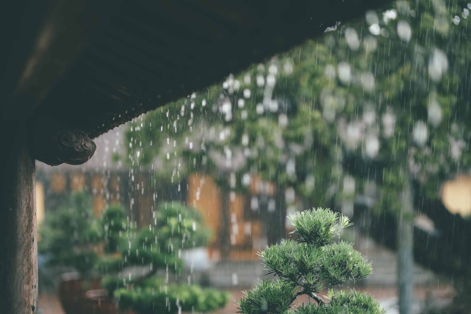 Listen to the sound of the rain and feel the music that each raindrop brings