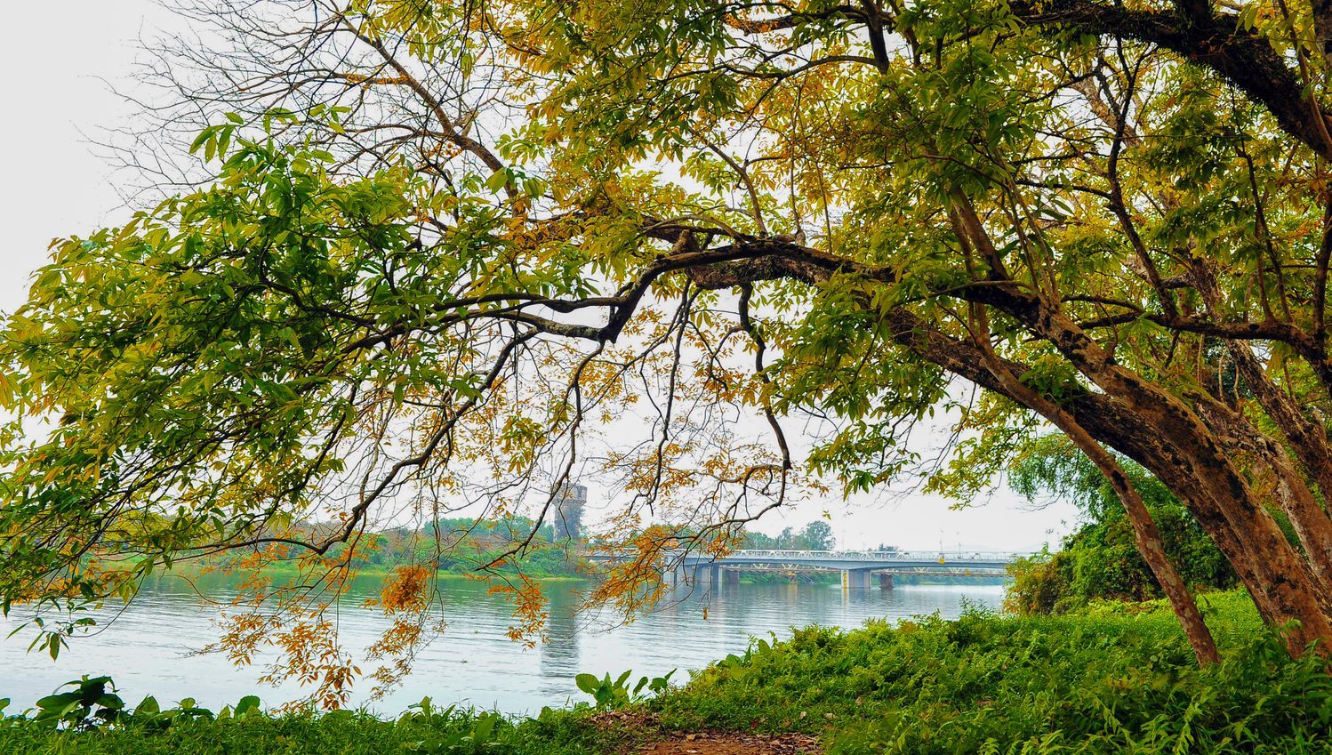 A corner of Autumn in the park
