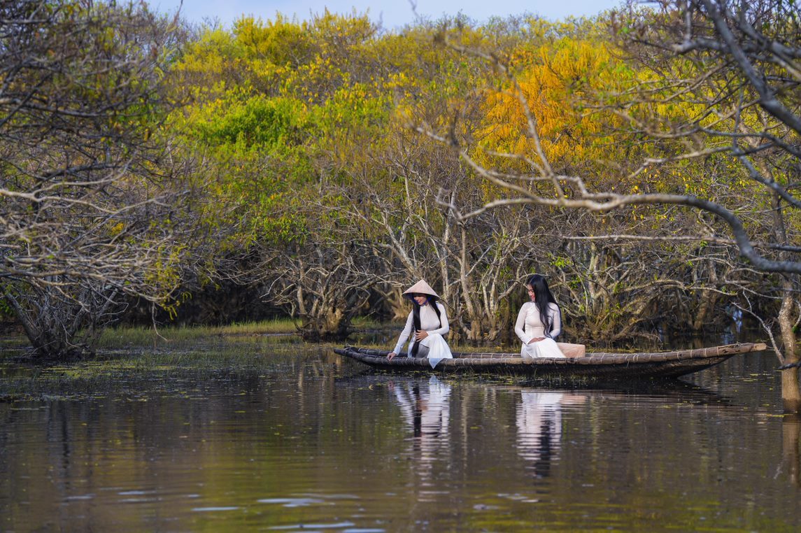 Autumn in Cha mangrove forest