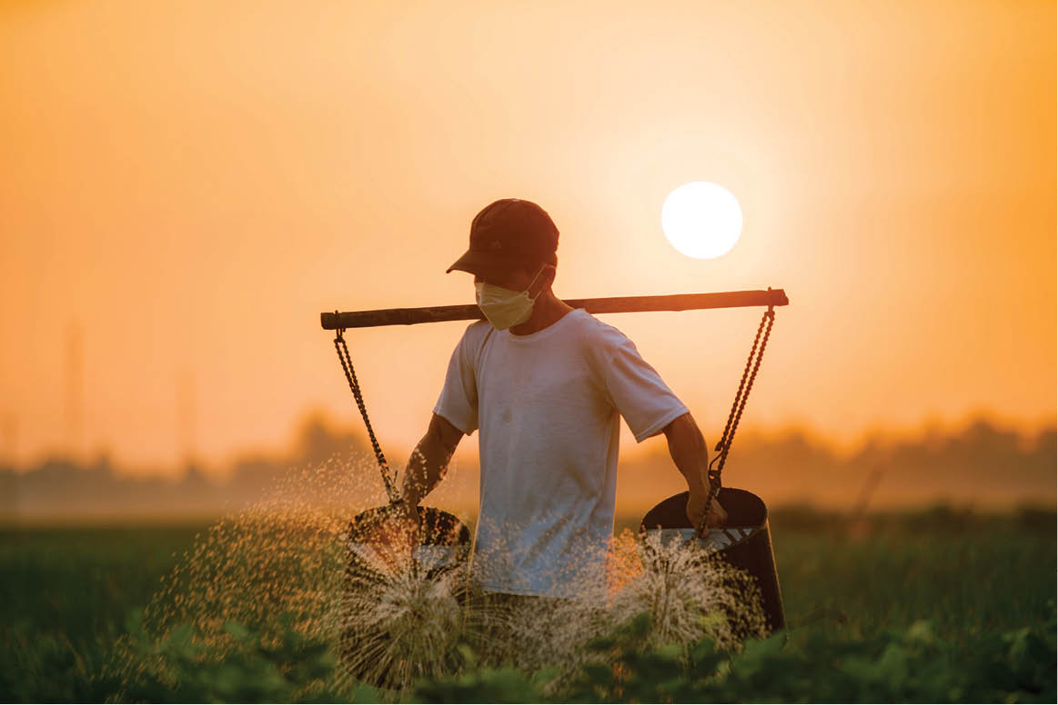 Watering the vegetables