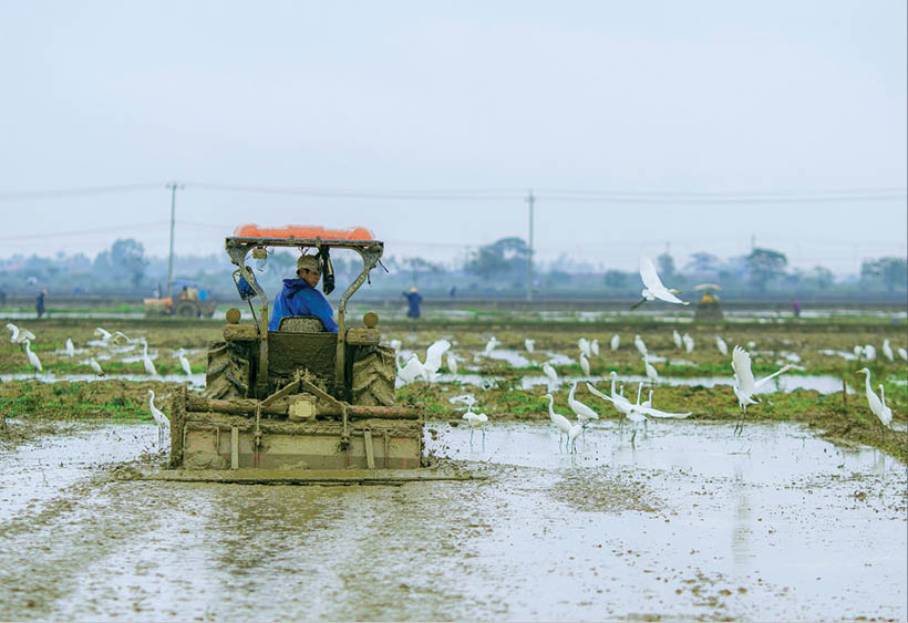 Preparing for a new crop season