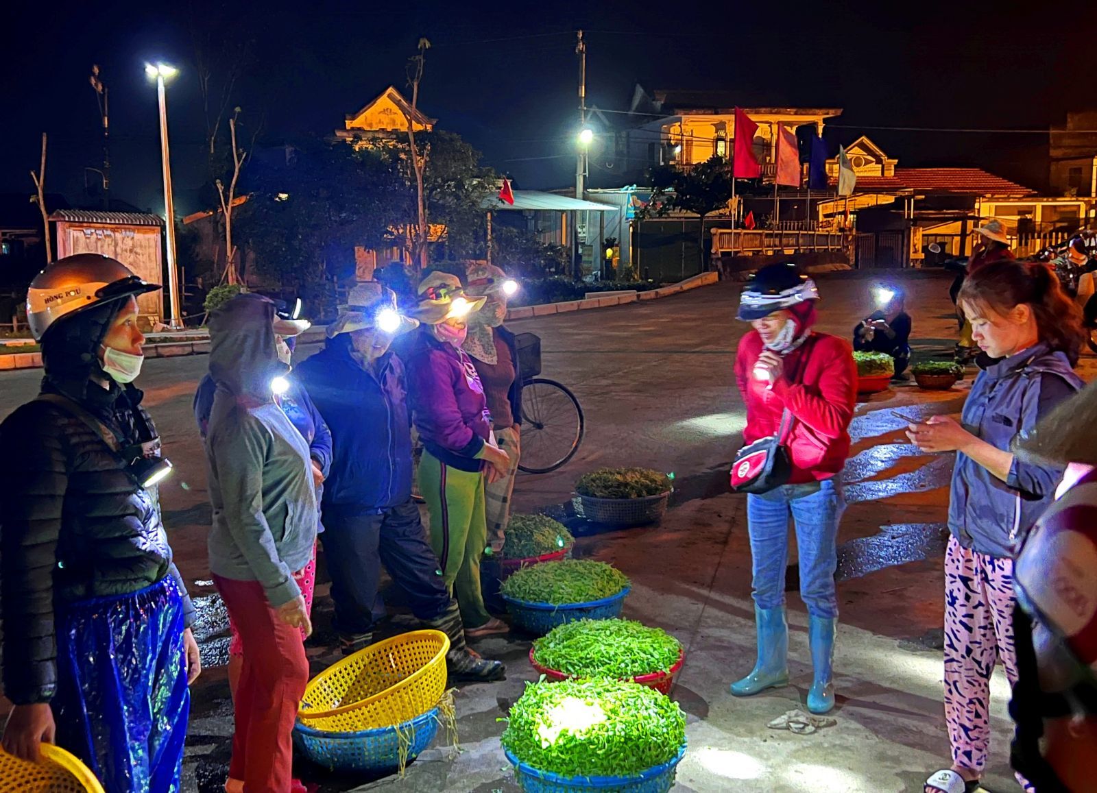 The traders coming to check and bargain right after the vegetables are set down