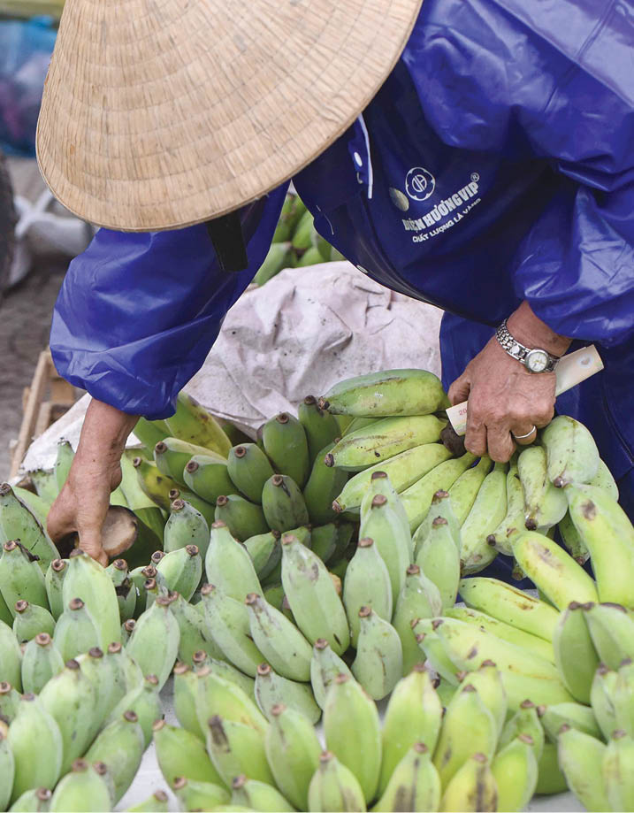 Betel and areca, flowers, and bananas, etc., in the first market of the new year