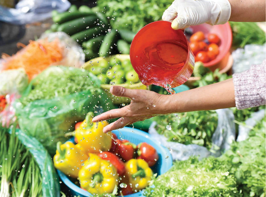 Various kinds of vegetables and fruits