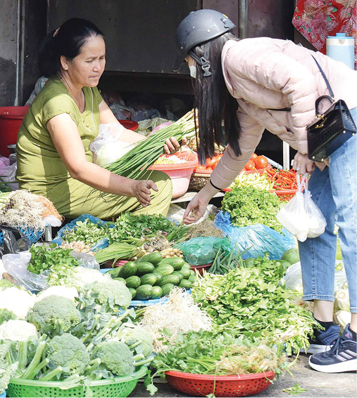 Various kinds of vegetables and fruits