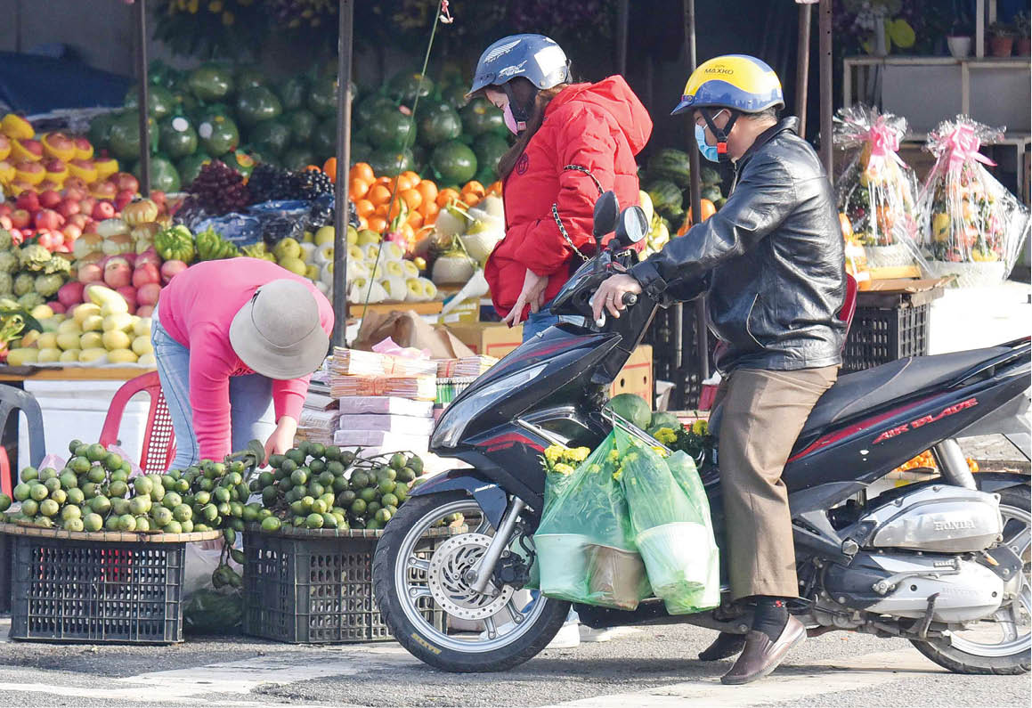 Various kinds of vegetables and fruits