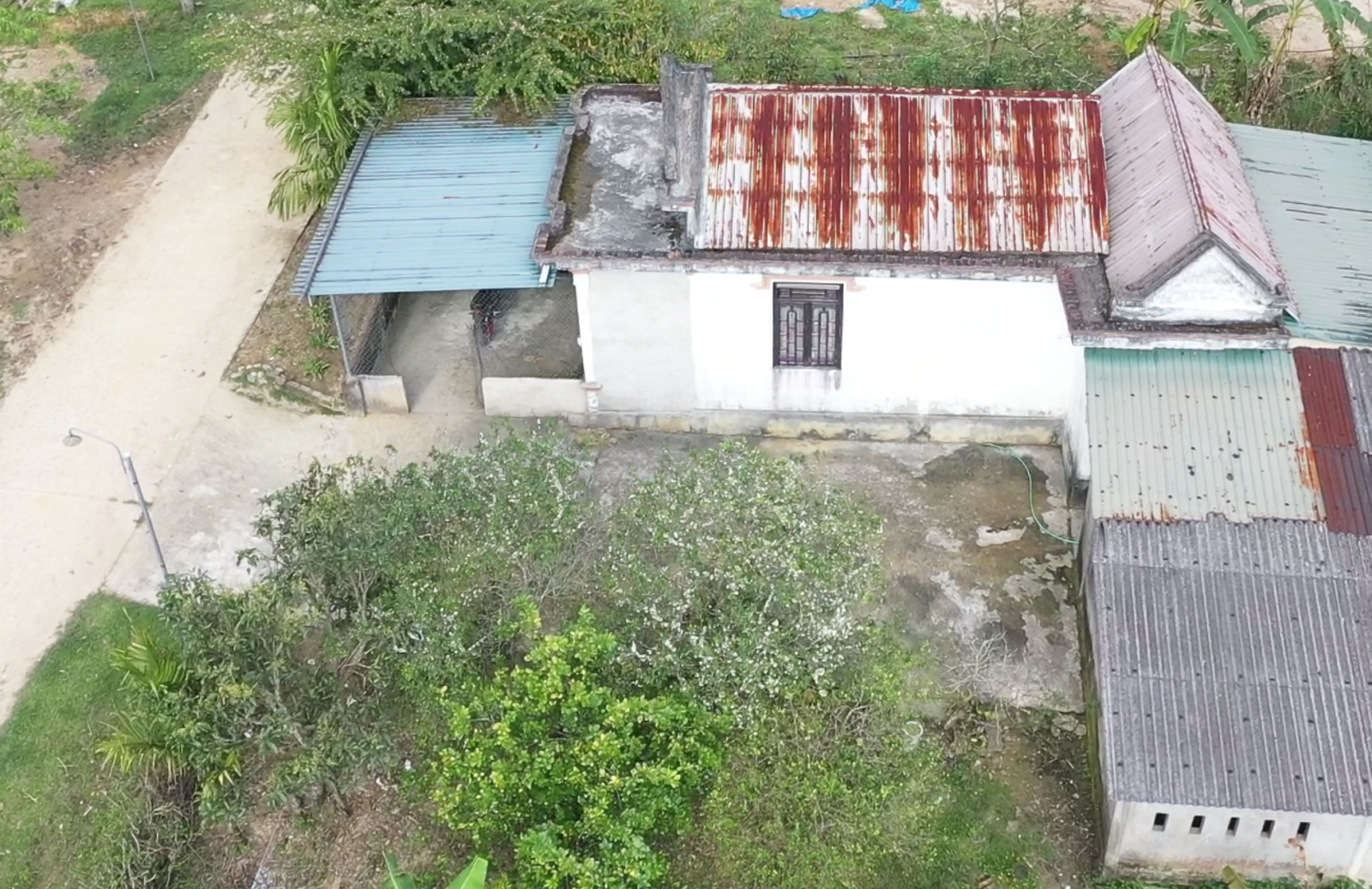 A house in Trung Son with many perennial plum trees