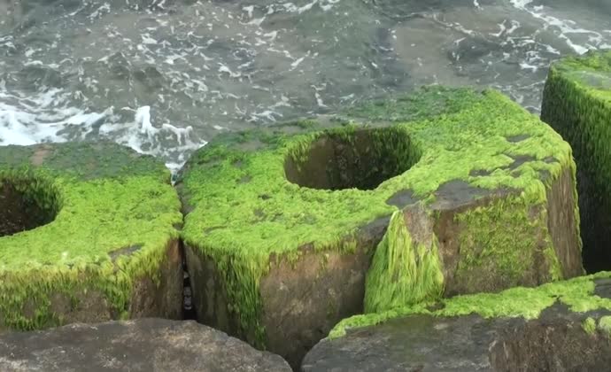 Tươi đẹp biển Hải Dương